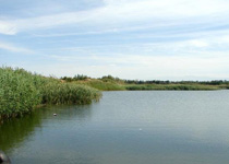 敦煌南湖自然保护区