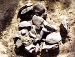 平谷北埝头新石器文化遗址